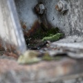 Derelict (extra1)