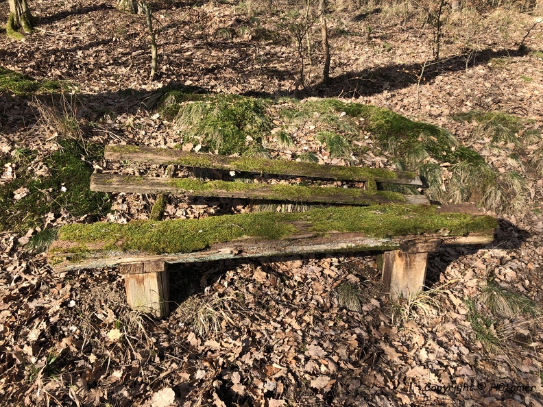 This morning I walked the dog through the forest (Ciara/Sabine was still far away) and noticed this place to rest.
It didn't look very comfortable to me, although the moss will have made it soft.
But nothing to lean the old back to, and the risk to crack through the bench is too high. H0tamer_20200209.jpg