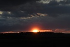 World on fire