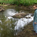 Walking the daughter