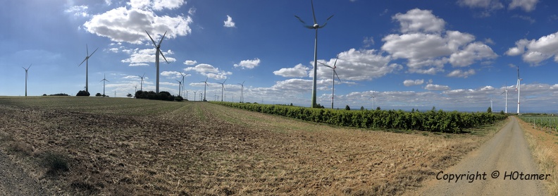 Today I rode my bike from Riedstadt to Alzey and back,
first crossing the Rhine on the ferry at Nierstein, back on the ferry at Gernsheim.
It was a nice tour, not too hot, not too windy, not too steep (my max staid below 60kmh).
On top of the hill between Gau-Heppenheim and Dittelsheim-Heßloch (don't try to pronounce if you're not German(ish)),
between many, many vineyards, I saw many windmills.
You might want to argue that they ruin the view.
But they are important to provide us with safer and cleaner energy.
For me this is a great reflection of the change away from nuclear,
gas and coal energy towards renewable energy. H0tamer_20200909.jpg
