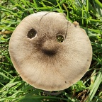 Smile!