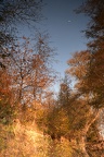 Autumn picture, taken in the Gersprenz