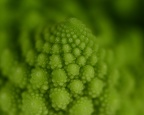 Mandelbrot