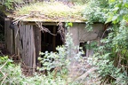 Shelter