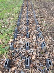 Graveyard?