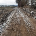 Dry Mud