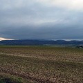 Weather