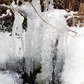Iceberg