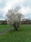 Spring!
