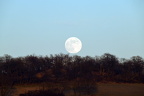 Full moon