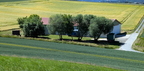 Windbreak
